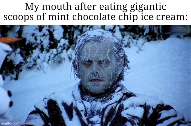 Mint chocolate chip ice cream | My mouth after eating gigantic scoops of mint chocolate chip ice cream: | image tagged in freezing cold,blank white template,funny,memes,mint,ice cream | made w/ Imgflip meme maker