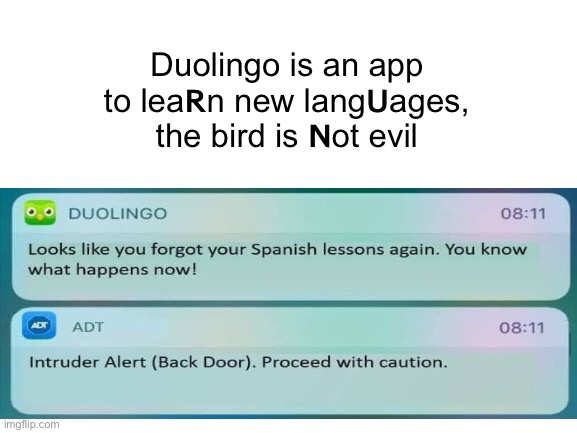 Duolingo is an app to lea𝗥n new lang𝗨ages, the bird is 𝗡ot evil | image tagged in duolingo | made w/ Imgflip meme maker