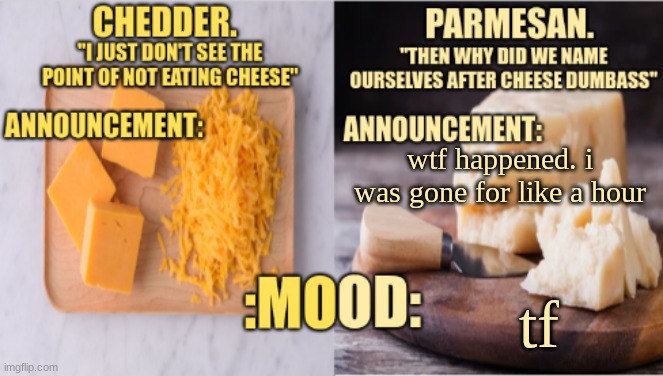 Chedder.+ Parmesan.'s Temp | wtf happened. i was gone for like a hour; tf | image tagged in chedder parmesan 's temp | made w/ Imgflip meme maker
