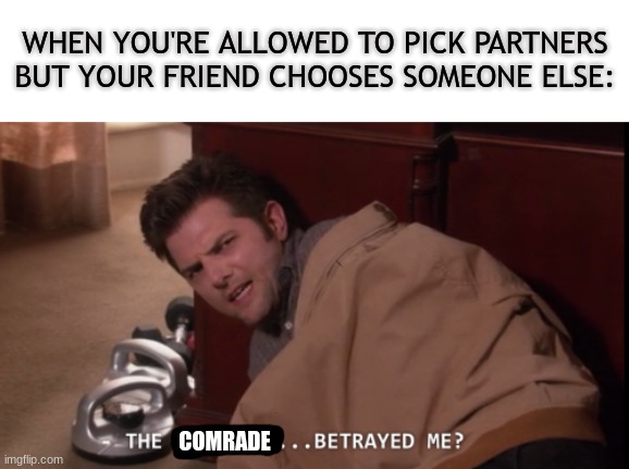 Jk, I have no friends... | WHEN YOU'RE ALLOWED TO PICK PARTNERS BUT YOUR FRIEND CHOOSES SOMEONE ELSE:; COMRADE | image tagged in the calzones betrayed me | made w/ Imgflip meme maker