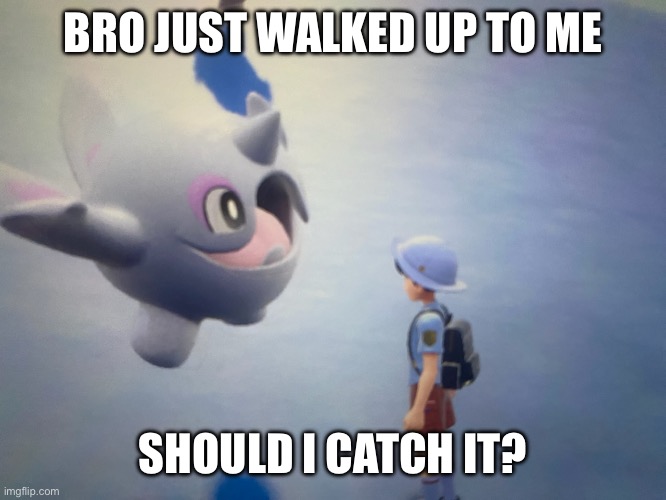 Best photo in all of Pokémon | BRO JUST WALKED UP TO ME; SHOULD I CATCH IT? | made w/ Imgflip meme maker