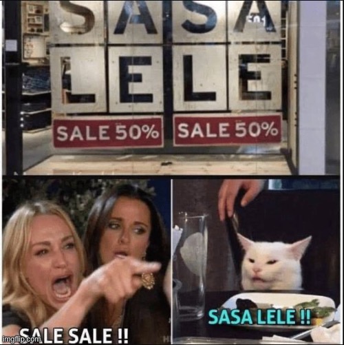 Sasa Lele | image tagged in funny,cat | made w/ Imgflip meme maker