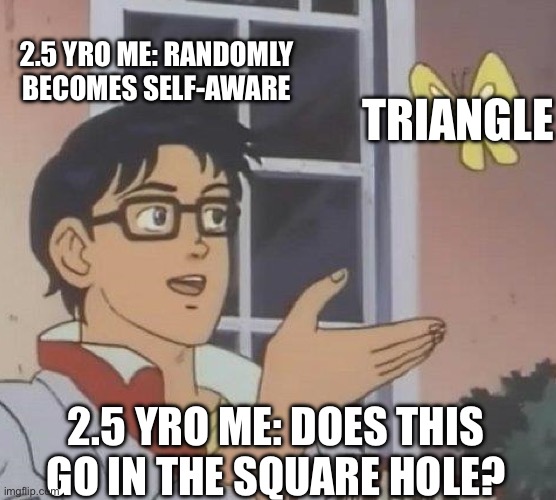 When toddlers become self-aware | 2.5 YRO ME: RANDOMLY BECOMES SELF-AWARE; TRIANGLE; 2.5 YRO ME: DOES THIS GO IN THE SQUARE HOLE? | image tagged in memes,is this a pigeon | made w/ Imgflip meme maker