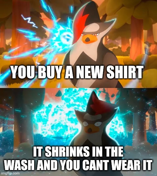 Size doesn't matter... | YOU BUY A NEW SHIRT; IT SHRINKS IN THE WASH AND YOU CANT WEAR IT | image tagged in mandjtv staraptor template | made w/ Imgflip meme maker