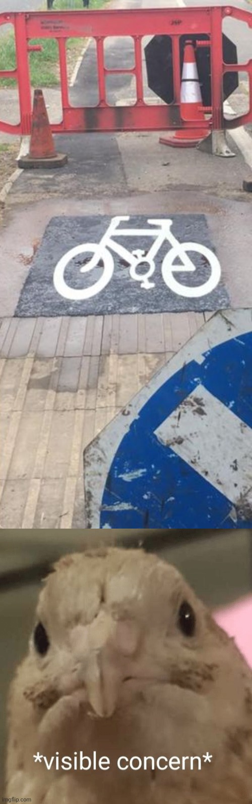 *facepalms* | image tagged in visible concern bird,bike sign,memes,you had one job,bicycle,bike | made w/ Imgflip meme maker