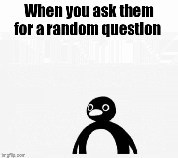 When he is a random question - Imgflip