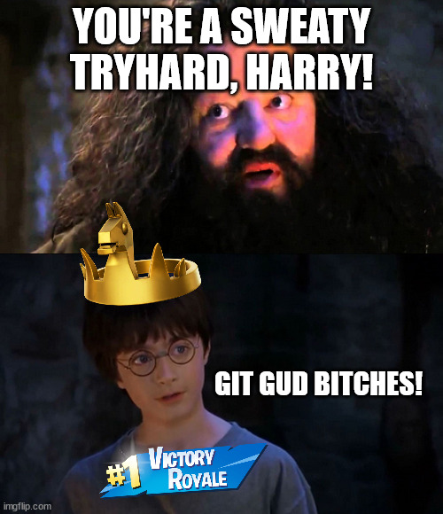 Fornite Harry | YOU'RE A SWEATY TRYHARD, HARRY! GIT GUD BITCHES! | image tagged in you are wizzard harry | made w/ Imgflip meme maker