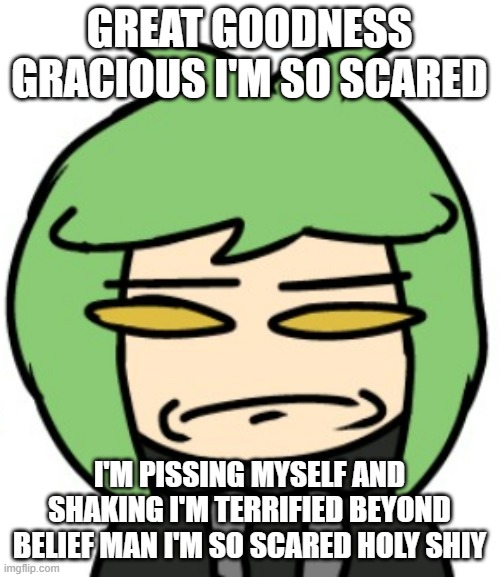 GREAT GOODNESS GRACIOUS I'M SO SCARED I'M PISSING MYSELF AND SHAKING I'M TERRIFIED BEYOND BELIEF MAN I'M SO SCARED HOLY SHIY | made w/ Imgflip meme maker
