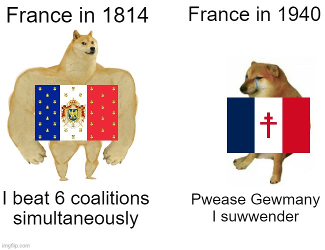 Buff Doge vs. Cheems | France in 1814; France in 1940; I beat 6 coalitions simultaneously; Pwease Gewmany I suwwender | image tagged in memes,buff doge vs cheems,history | made w/ Imgflip meme maker