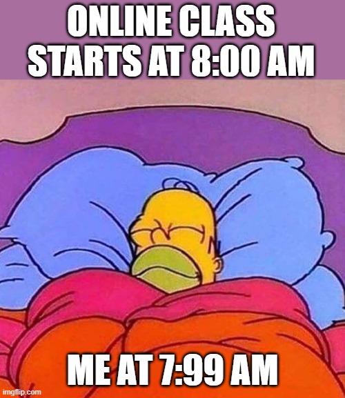 sleepity sleep | ONLINE CLASS STARTS AT 8:00 AM; ME AT 7:99 AM | image tagged in homer simpson sleeping peacefully,online school | made w/ Imgflip meme maker