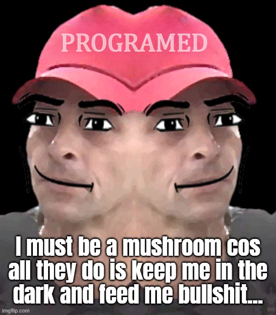 PROGRAMED pawn drone... | PROGRAMED; I must be a mushroom cos
all they do is keep me in the
dark and feed me bullshit... | made w/ Imgflip meme maker