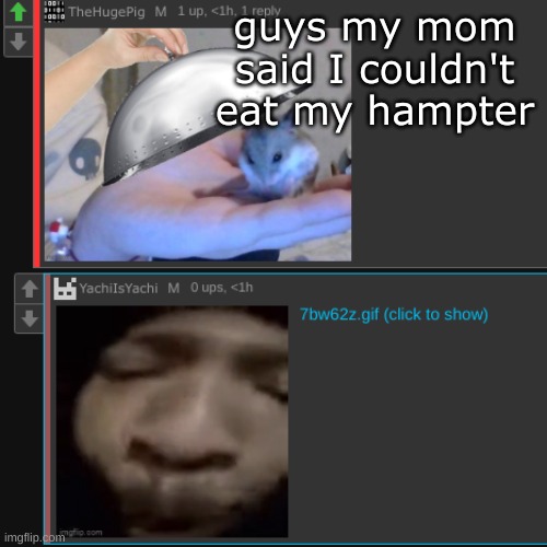 sorry | guys my mom said I couldn't eat my hampter | made w/ Imgflip meme maker