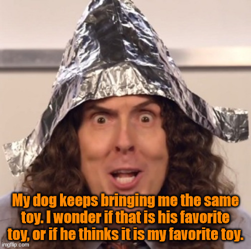 Weird al tinfoil hat | My dog keeps bringing me the same toy. I wonder if that is his favorite toy, or if he thinks it is my favorite toy. | image tagged in weird al tinfoil hat | made w/ Imgflip meme maker