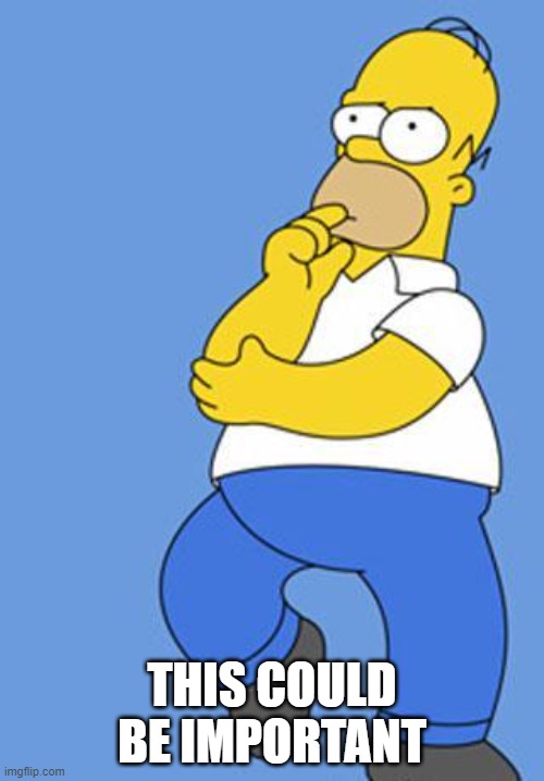 Homer Simpson Thinking | THIS COULD BE IMPORTANT | image tagged in homer simpson thinking | made w/ Imgflip meme maker