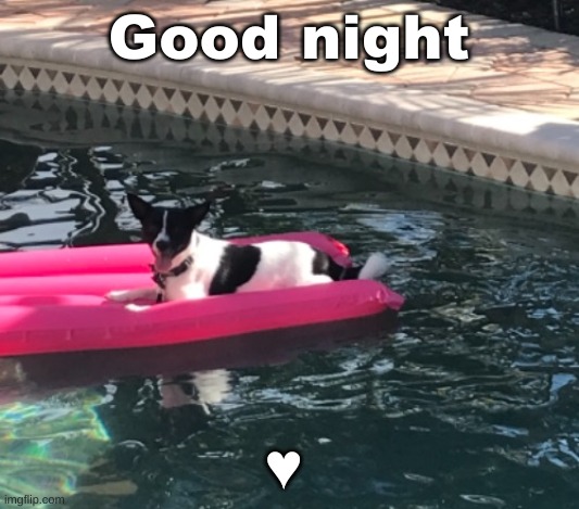 . | Good night; ♥ | made w/ Imgflip meme maker