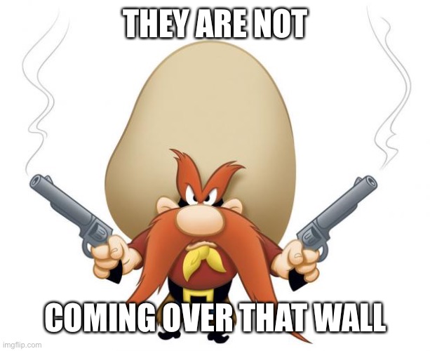 Yosemite Sam | THEY ARE NOT COMING OVER THAT WALL | image tagged in yosemite sam | made w/ Imgflip meme maker