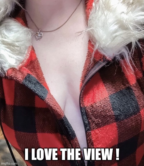 For the viewing of all men | I LOVE THE VIEW ! | image tagged in deep thinking from deep cleavage | made w/ Imgflip meme maker