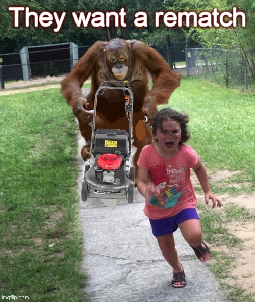 Orangutan chasing girl on a tricycle | They want a rematch They want a rematch | image tagged in orangutan chasing girl on a tricycle | made w/ Imgflip meme maker