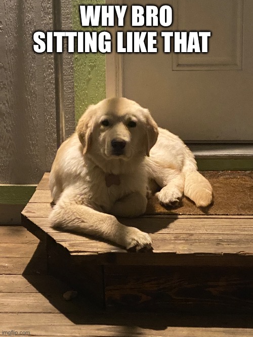 WHY BRO SITTING LIKE THAT | made w/ Imgflip meme maker