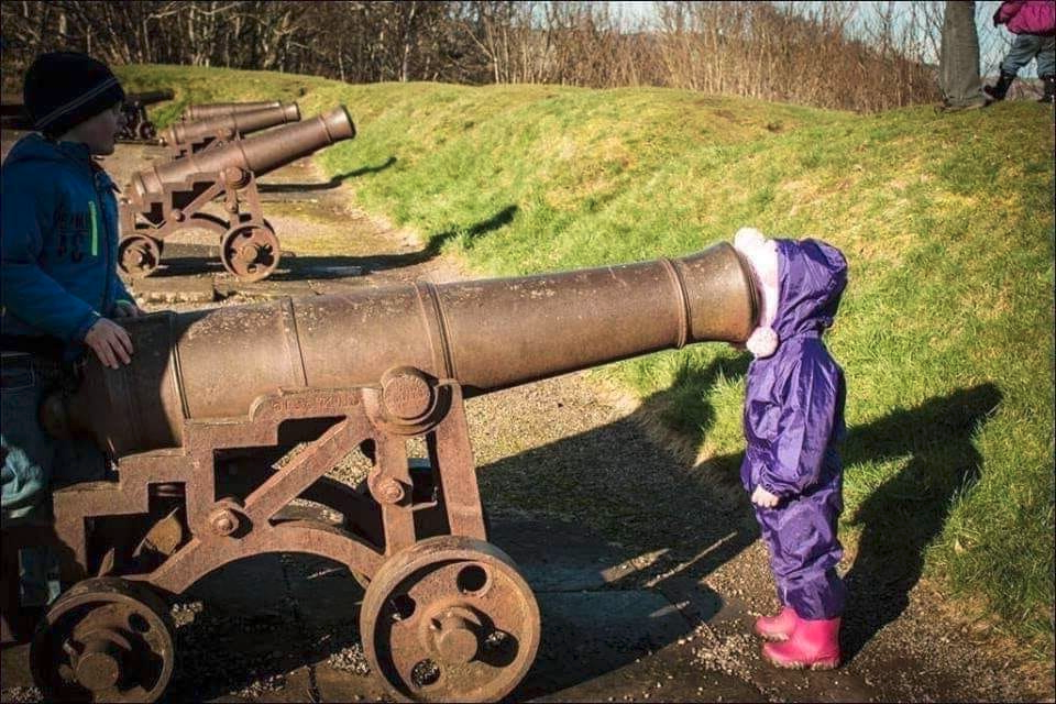 Flipped Canon Blank Meme Template