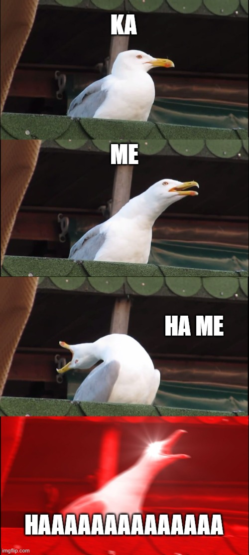 Wait for it. | KA; ME; HA ME; HAAAAAAAAAAAAAA | image tagged in memes,inhaling seagull | made w/ Imgflip meme maker