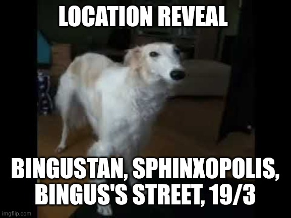 Low quality borzoi dog | LOCATION REVEAL; BINGUSTAN, SPHINXOPOLIS, BINGUS'S STREET, 19/3 | image tagged in low quality borzoi dog | made w/ Imgflip meme maker