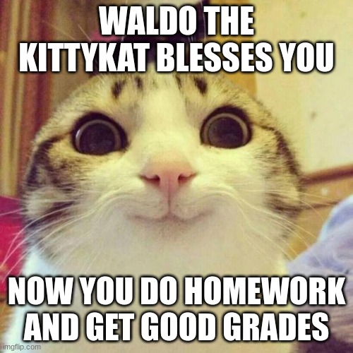 Smiling Cat | WALDO THE KITTYKAT BLESSES YOU; NOW YOU DO HOMEWORK AND GET GOOD GRADES | image tagged in memes,smiling cat | made w/ Imgflip meme maker