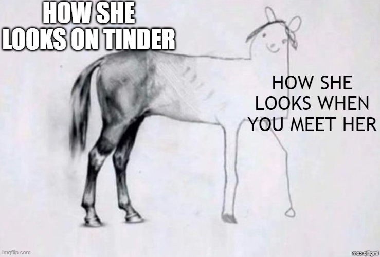 you don't look like your picture | HOW SHE LOOKS ON TINDER; HOW SHE LOOKS WHEN YOU MEET HER | image tagged in horse drawing | made w/ Imgflip meme maker