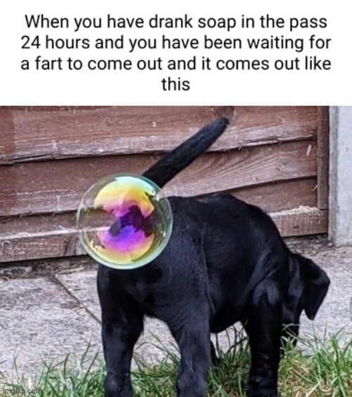 image tagged in repost | made w/ Imgflip meme maker