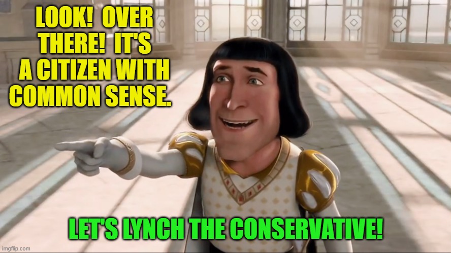 Dangerous times in this nation for conservatives. | LOOK!  OVER THERE!  IT'S A CITIZEN WITH COMMON SENSE. LET'S LYNCH THE CONSERVATIVE! | image tagged in farquaad pointing | made w/ Imgflip meme maker