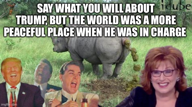 This is the View | SAY WHAT YOU WILL ABOUT
TRUMP, BUT THE WORLD WAS A MORE PEACEFUL PLACE WHEN HE WAS IN CHARGE | image tagged in this is the view | made w/ Imgflip meme maker