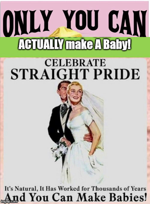 Only Heterosexuals can make babies, ACTUALLY! | image tagged in heterophobes,homosexuals,man made women,perversion,joe biden | made w/ Imgflip meme maker