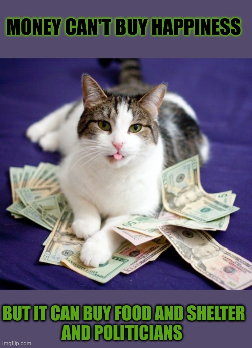 This #lolcat wonders what money can buy. | MONEY CAN'T BUY HAPPINESS; BUT IT CAN BUY FOOD AND SHELTER
AND POLITICIANS | image tagged in bribary,corruption,poverty,lolcat,money,think about it | made w/ Imgflip meme maker