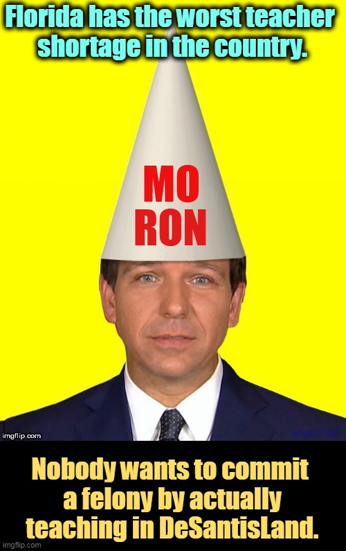 Under DeSantis, Florida is now The Dumb State. | Florida has the worst teacher 
shortage in the country. Nobody wants to commit 
a felony by actually teaching in DeSantisLand. | image tagged in ron desantis moron what the country doesn't need,ron desantis,conservatives,hate,books,education | made w/ Imgflip meme maker