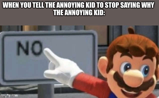 I hate these kind of kids | WHEN YOU TELL THE ANNOYING KID TO STOP SAYING WHY 
THE ANNOYING KID: | image tagged in mario no sign | made w/ Imgflip meme maker