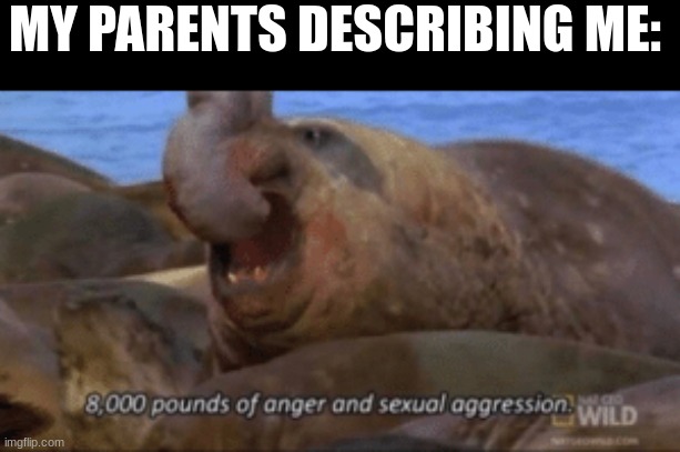 8,000 pounds of anger and sexual aggression | MY PARENTS DESCRIBING ME: | image tagged in 8 000 pounds of anger and sexual aggression | made w/ Imgflip meme maker