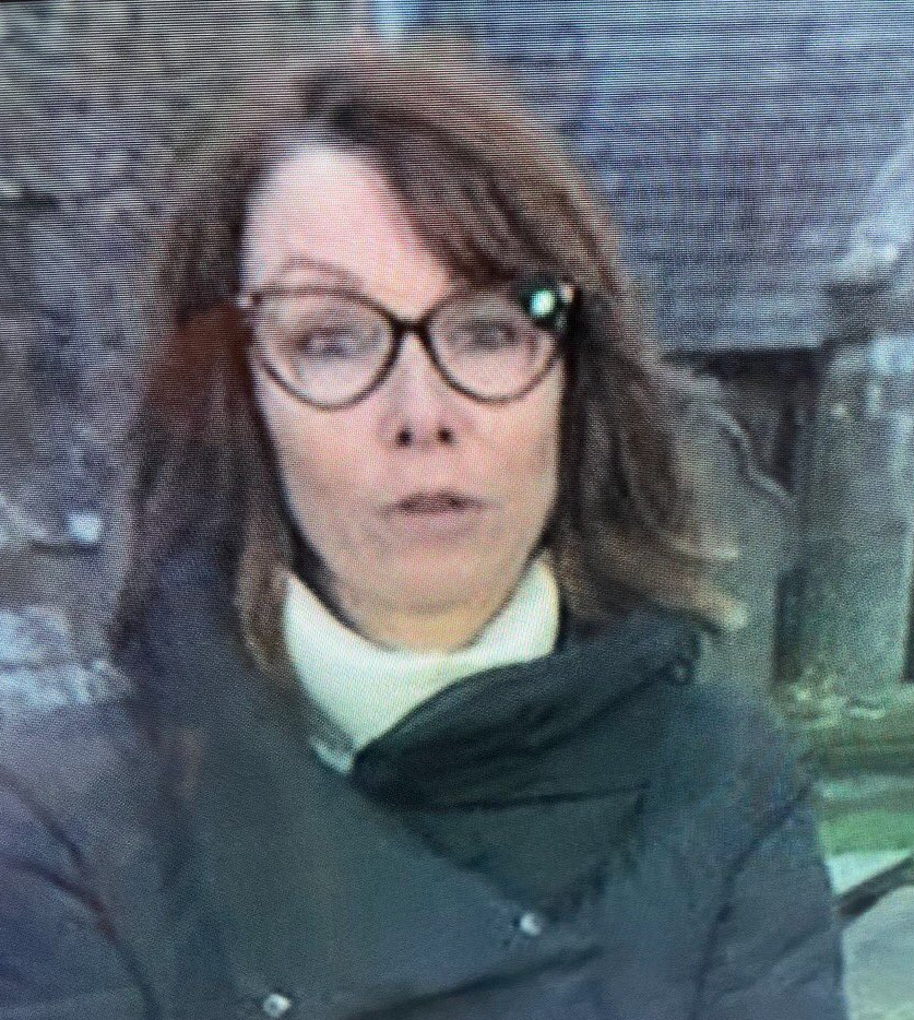 Kay Burley Blank Meme Template