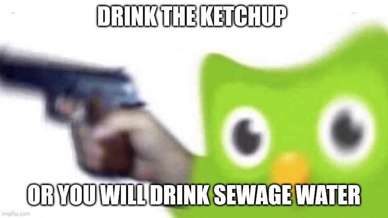 duolingo gun | DRINK THE KETCHUP OR YOU WILL DRINK SEWAGE WATER | image tagged in duolingo gun | made w/ Imgflip meme maker