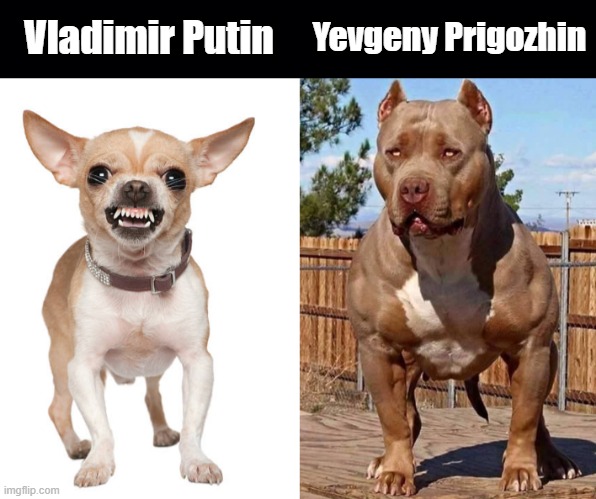 Yevgeny Prigozhin; Vladimir Putin | image tagged in black background | made w/ Imgflip meme maker