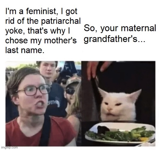 image tagged in feminist,cats,repost,grandpa,grandma,memes | made w/ Imgflip meme maker