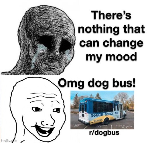 image tagged in dogs,dog,bus,wojak,wholesome,memes | made w/ Imgflip meme maker