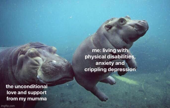 image tagged in wholesome,wholesome content,hippo,memes,funny,relatable | made w/ Imgflip meme maker