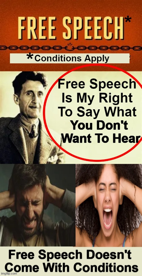 I disapprove of what you say, but I will defend to the death your right to say it  ~~  Evelyn Beatrice Hall | image tagged in politics,free speech,first amendment,put on your big girl panties,freedom,america | made w/ Imgflip meme maker