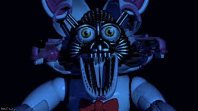 My first post here, can't wait to get 50 hate enemies and 100 hate comments | image tagged in funtime foxy jumpscare fnaf sister location | made w/ Imgflip meme maker