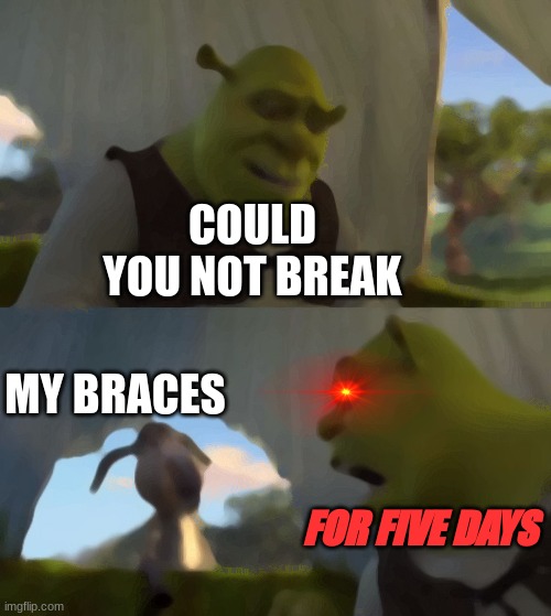 Litterally me every ten seconds | COULD YOU NOT BREAK; MY BRACES; FOR FIVE DAYS | image tagged in could you not ___ for 5 minutes | made w/ Imgflip meme maker