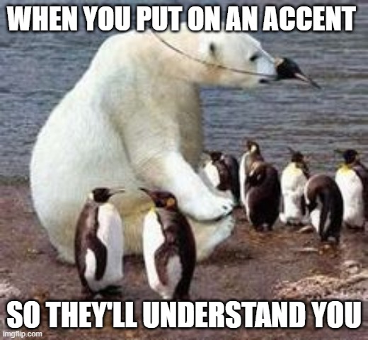 Polar bear is in disguise | WHEN YOU PUT ON AN ACCENT; SO THEY'LL UNDERSTAND YOU | image tagged in polar bear is in disguise | made w/ Imgflip meme maker