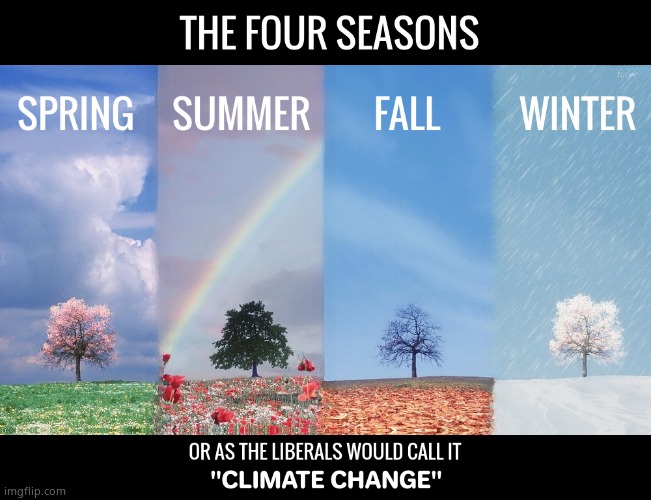 The four seasons | image tagged in memes,climate change,hoax,seasons,liberals,political meme | made w/ Imgflip meme maker