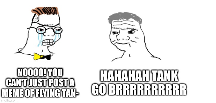 nooo haha go brrr | NOOOO! YOU CAN'T JUST POST A MEME OF FLYING TAN- HAHAHAH TANK GO BRRRRRRRRRR | image tagged in nooo haha go brrr | made w/ Imgflip meme maker