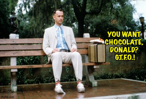 Forrest Gump | YOU WANT 
CHOCOLATE, 
DONALD? 
G.T.F.O.! | image tagged in forrest gump | made w/ Imgflip meme maker