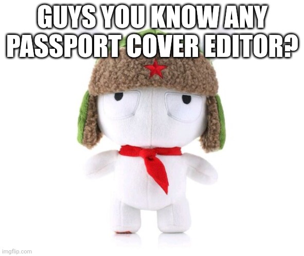 Xiaomi bunny plushie | GUYS YOU KNOW ANY PASSPORT COVER EDITOR? | image tagged in xiaomi bunny plushie | made w/ Imgflip meme maker
